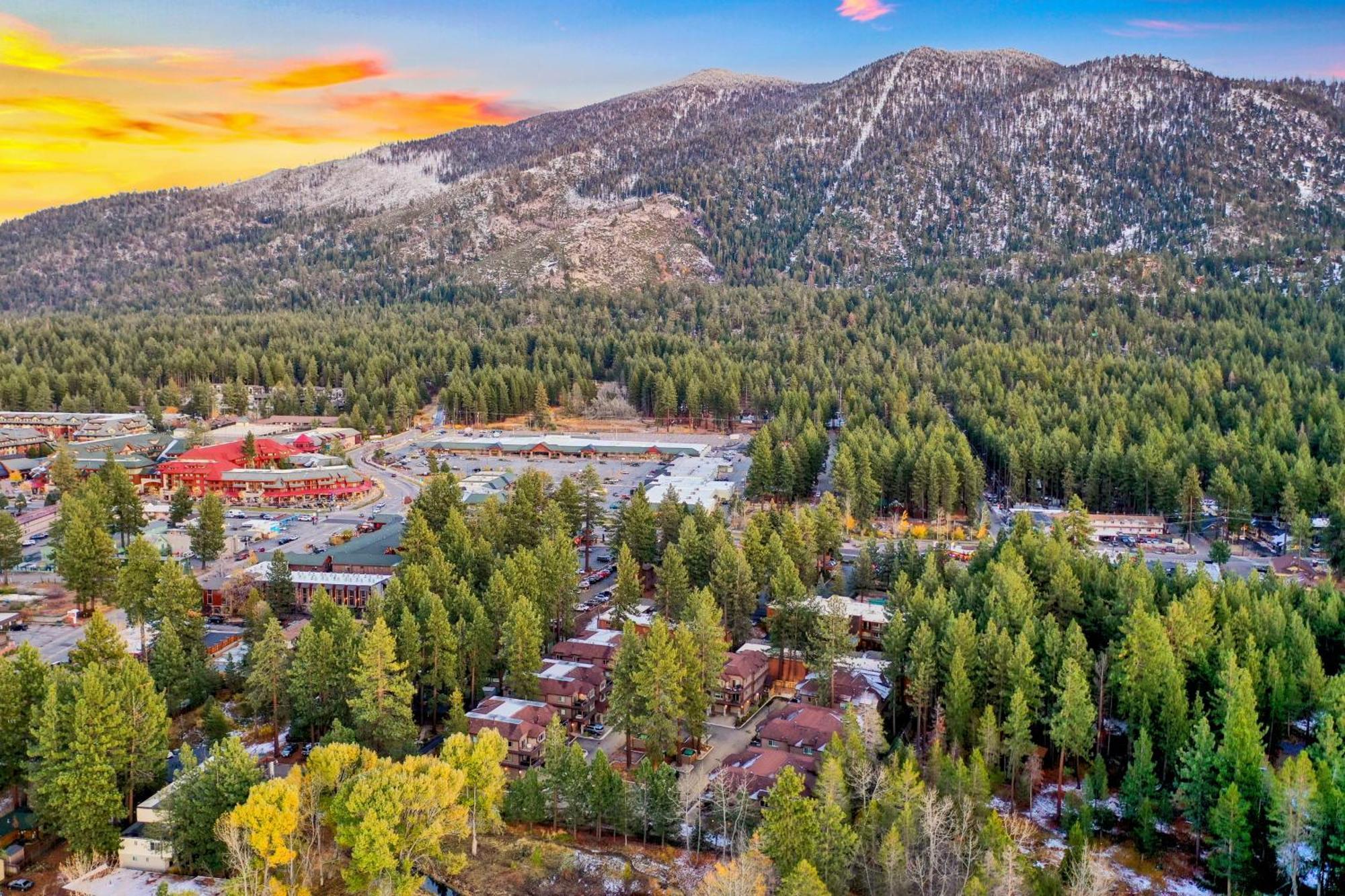Tahoe Woods 602 Dog Friendly Walk To Gondola Lake Casinos South Lake Tahoe Eksteriør billede